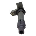 Bobina Ignição Chevrolet Captiva 3.6 2010 2011 2012 